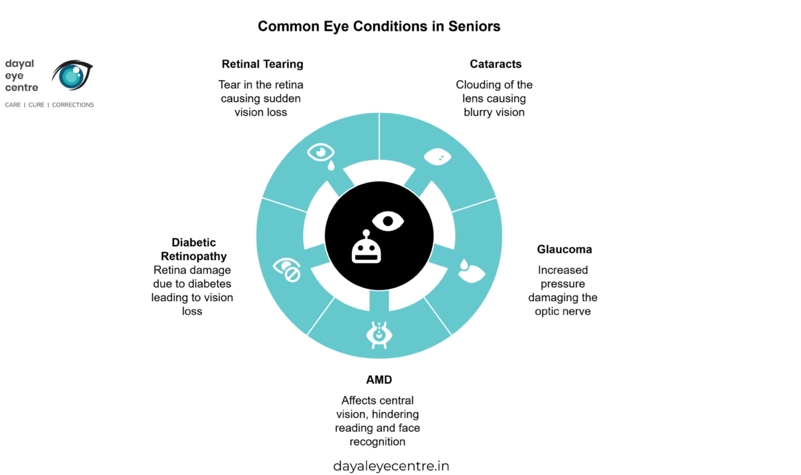 Common Eye Conditions in Seniors