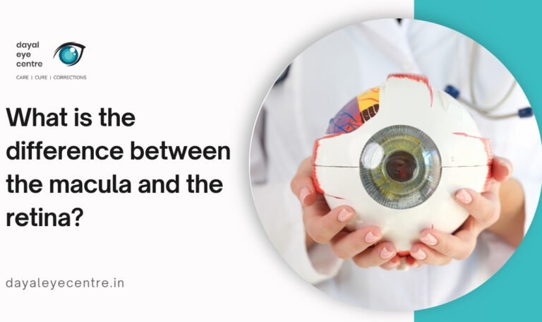 What is the difference between the macula and the retina