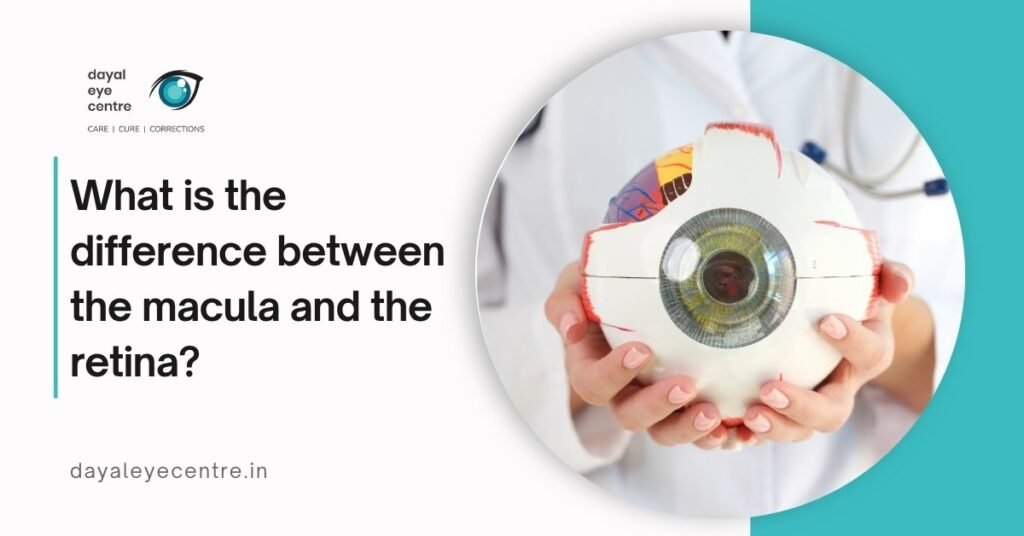 Retina vs Macula: What’s the Difference in Eye Health?
